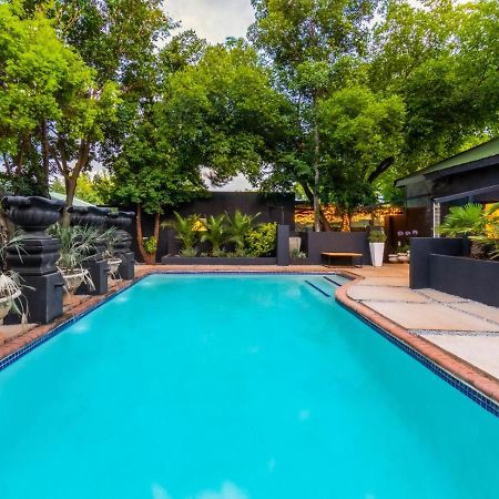 Royal Tree Guest House Potchefstroom Extérieur photo